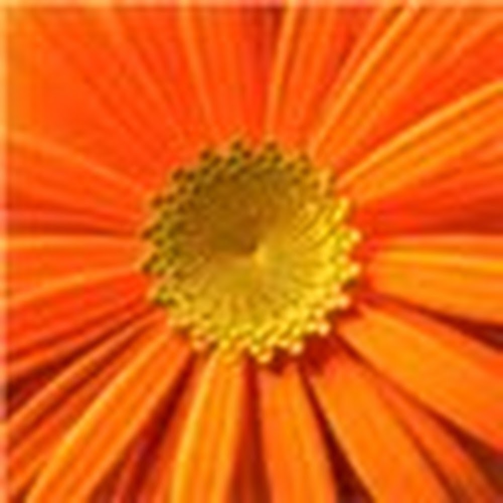 Meet your Posher, Allyson